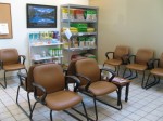 Comfortable Lounge for You and Your Pet